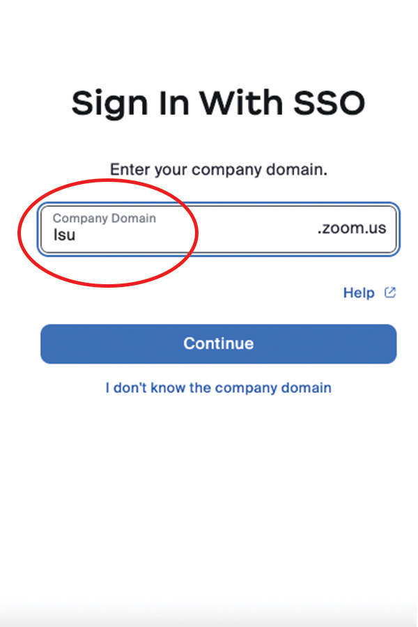 screen shot of sign in with SSO using LSU as Company Domain