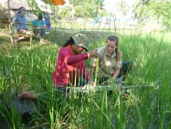 students from the US and Bangladesh work together to measure the surface elevation change within poldered lands using an RSET students from the US and Bangladesh work together to measure the surface elevation change within poldered lands using an RSET