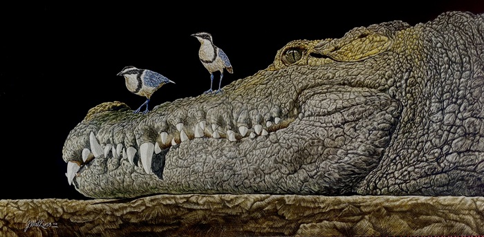 Under the Egyptian Sun, Nile Crocodile and Plovers