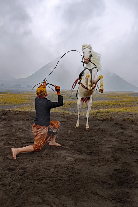Tengger Horseman