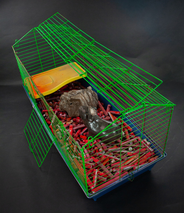 Keep Guinea Pigs Out of Reach of Children