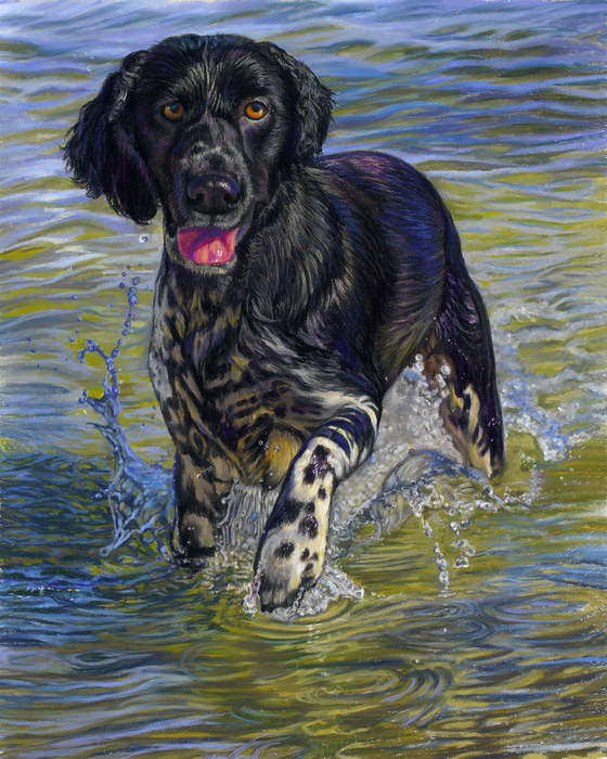 Splish Splash