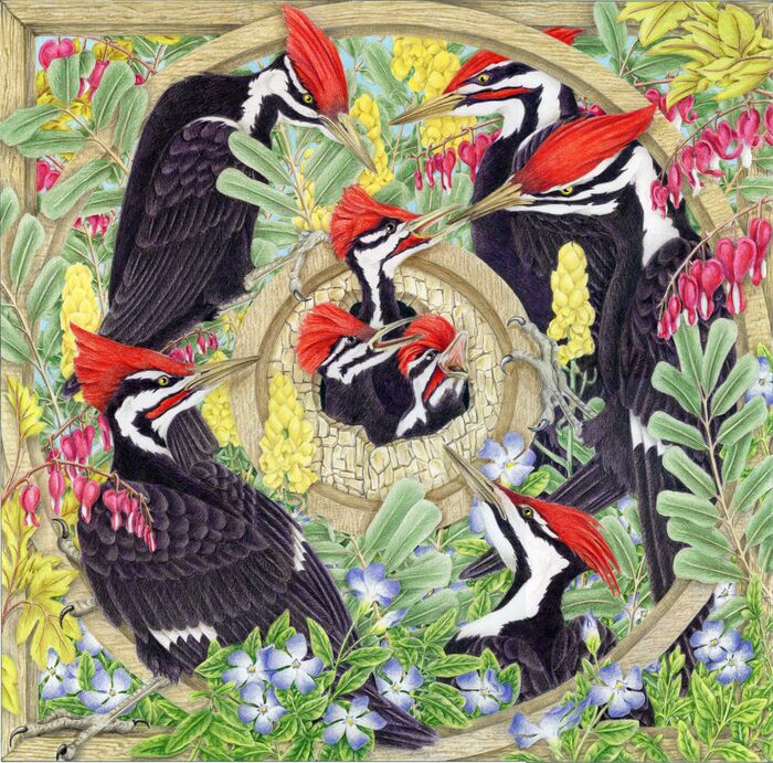 A Prayer for Justice and Compassion
