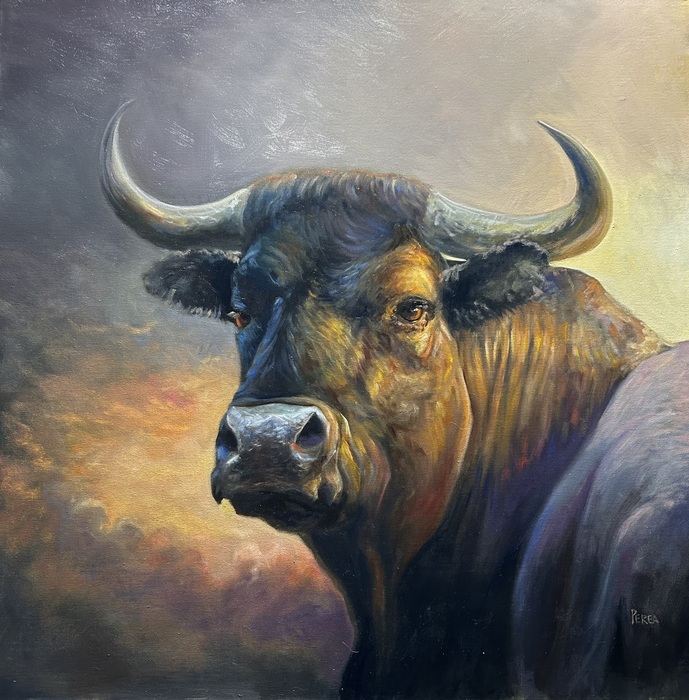 Portrait of a Bull