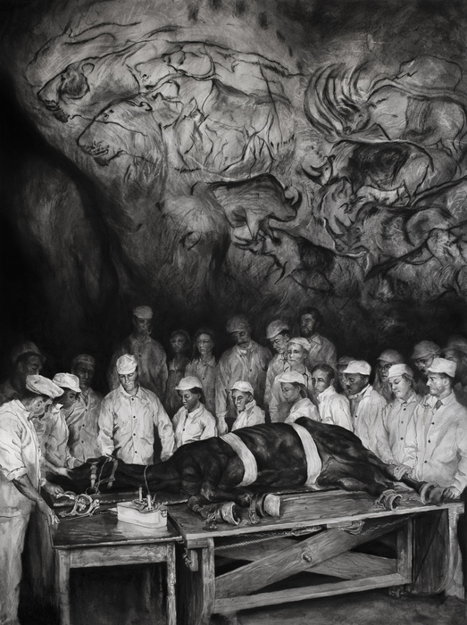Veterinarians at Chauvet Cave
